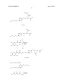 NEW CAPPED PYRAZINOYLGUANIDINE SODIUM CHANNEL BLOCKERS diagram and image