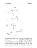 NEW CAPPED PYRAZINOYLGUANIDINE SODIUM CHANNEL BLOCKERS diagram and image