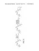 MEMBRANE STABILIZING COMPOSITIONS AND METHODS diagram and image