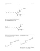 LIQUID PHASE SEPARATION OF PLASMID DNA ISOFORMS AND TOPOISOMERS diagram and image