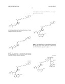 LIQUID PHASE SEPARATION OF PLASMID DNA ISOFORMS AND TOPOISOMERS diagram and image