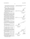 LIQUID PHASE SEPARATION OF PLASMID DNA ISOFORMS AND TOPOISOMERS diagram and image