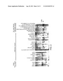 ORGANIC CATION TRANSPORTER POLYPEPTIDES diagram and image