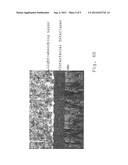 COMPOUND THIN FILM SOLAR CELL AND METHOD FOR MANUFACTURING THE SAME diagram and image