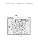 Quantitative, Multispectral Image Analysis of Tissue Specimens Stained     with Quantum Dots diagram and image