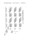 Image Forming Apparatus diagram and image