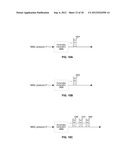 METHOD AND APPARATUS FOR DYNAMIC MEDIA ACCESS CONTROL IN A MULTIPLE ACCESS     SYSTEM diagram and image