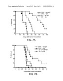 Enhancement of Immune Responses By 4-1BB-Binding Agents diagram and image