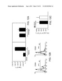 Enhancement of Immune Responses By 4-1BB-Binding Agents diagram and image