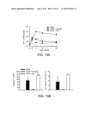 Enhancement of Immune Responses By 4-1BB-Binding Agents diagram and image