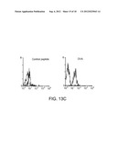 Enhancement of Immune Responses By 4-1BB-Binding Agents diagram and image