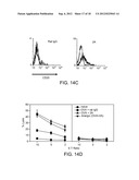 Enhancement of Immune Responses By 4-1BB-Binding Agents diagram and image