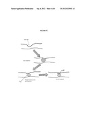 COMPOSITION AND METHOD FOR TREATING TISSUE DEFECTS diagram and image