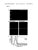 KLF FAMILY MEMBERS REGULATE INTRINSIC AXON REGENERATION ABILITY diagram and image