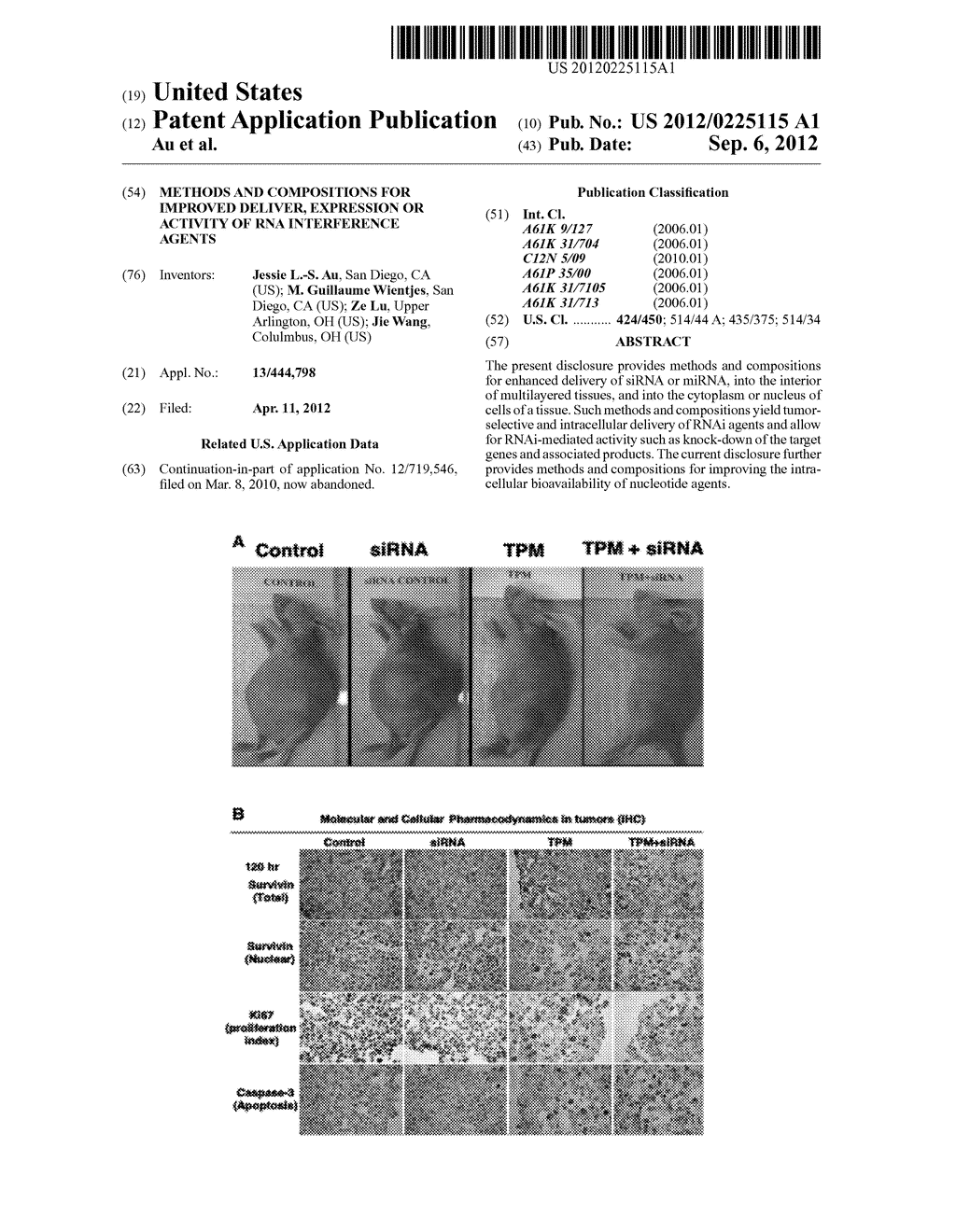 Methods and Compositions for Improved Deliver, Expression or Activity of     RNA Interference Agents - diagram, schematic, and image 01