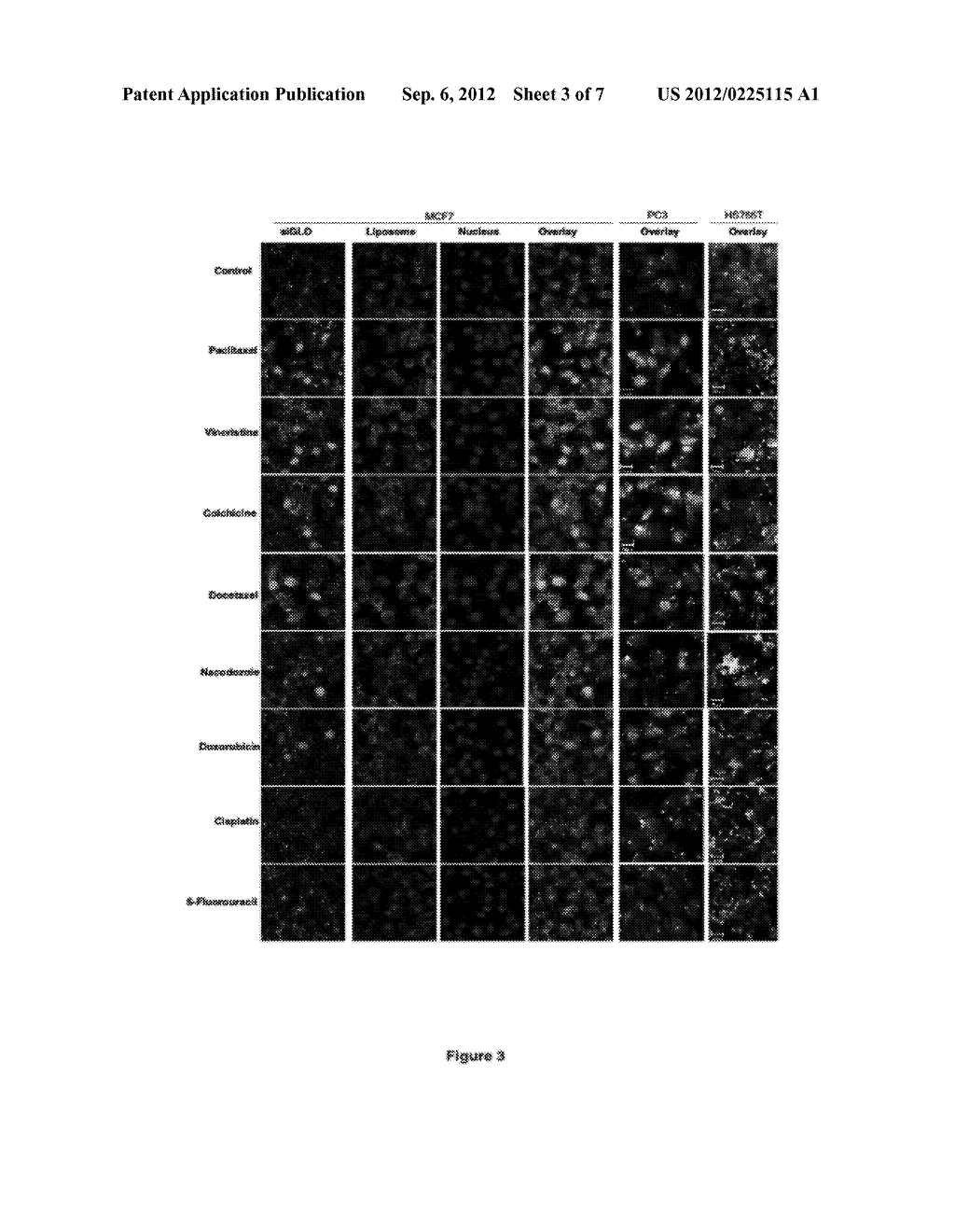 Methods and Compositions for Improved Deliver, Expression or Activity of     RNA Interference Agents - diagram, schematic, and image 04