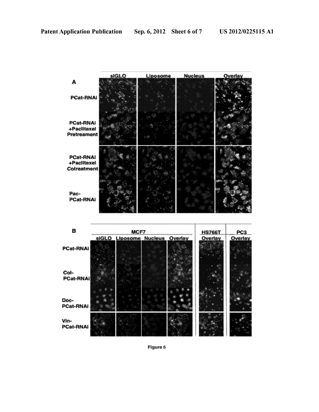 Methods and Compositions for Improved Deliver, Expression or Activity of     RNA Interference Agents - diagram, schematic, and image 07