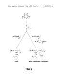 BIODEGRADABLE POLYPHOSPHAZENES CONTAINING PYRROLIDONE SIDE GROUPS diagram and image