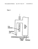 PERPENDICULAR MEDIA WITH DUAL SOFT MAGNETIC LAYERS diagram and image