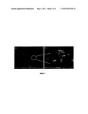 Crystalline Mesoporous Titanium Dioxide And The Use Thereof In     Electrochemical Devices diagram and image