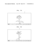 METHOD AND APPARATUS FOR TEACHING BIOLOGY USING VIRTUAL LIVING ORGANISM diagram and image