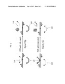 TYPE OF UNIVERSAL PROBE FOR THE DETECTION OF GENOMIC VARIANTS diagram and image