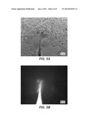 NANOPIPETTE APPARATUS FOR MANIPULATING CELLS diagram and image