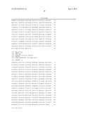 SYNTHETIC OPERON diagram and image