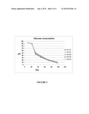 ORGANIC ACID PRODUCTION IN MICROORGANISMS BY COMBINED REDUCTIVE AND     OXIDATIVE TRICABOXYLIC ACID CYLCE PATHWAYS diagram and image