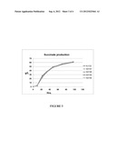 ORGANIC ACID PRODUCTION IN MICROORGANISMS BY COMBINED REDUCTIVE AND     OXIDATIVE TRICABOXYLIC ACID CYLCE PATHWAYS diagram and image