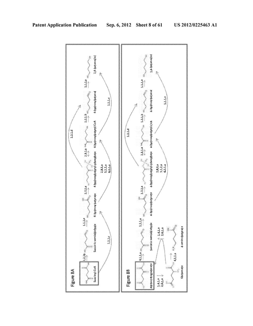 MICROORGANISMS FOR THE PRODUCTION OF 1,4-BUTANEDIOL AND RELATED METHODS - diagram, schematic, and image 09