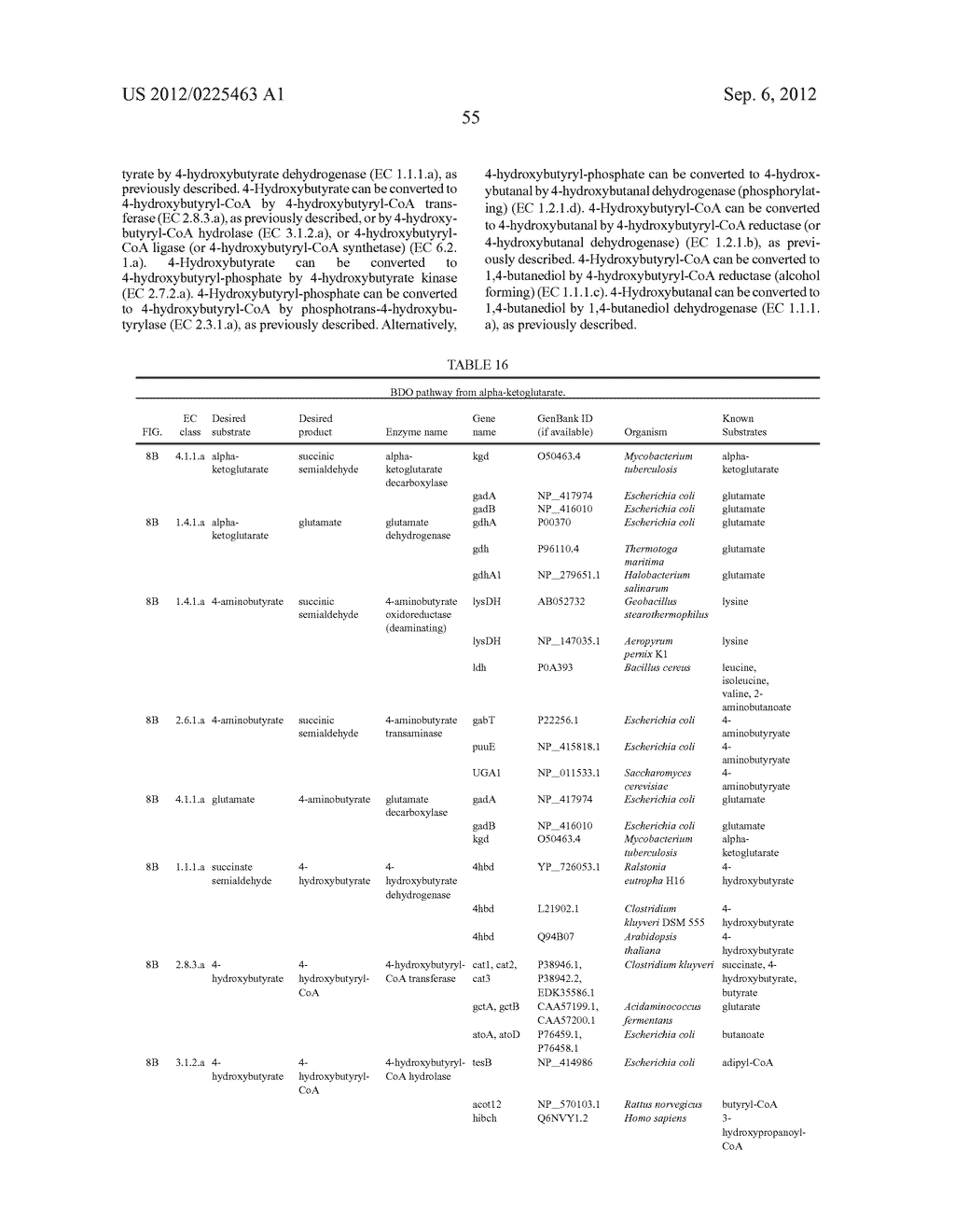 MICROORGANISMS FOR THE PRODUCTION OF 1,4-BUTANEDIOL AND RELATED METHODS - diagram, schematic, and image 117