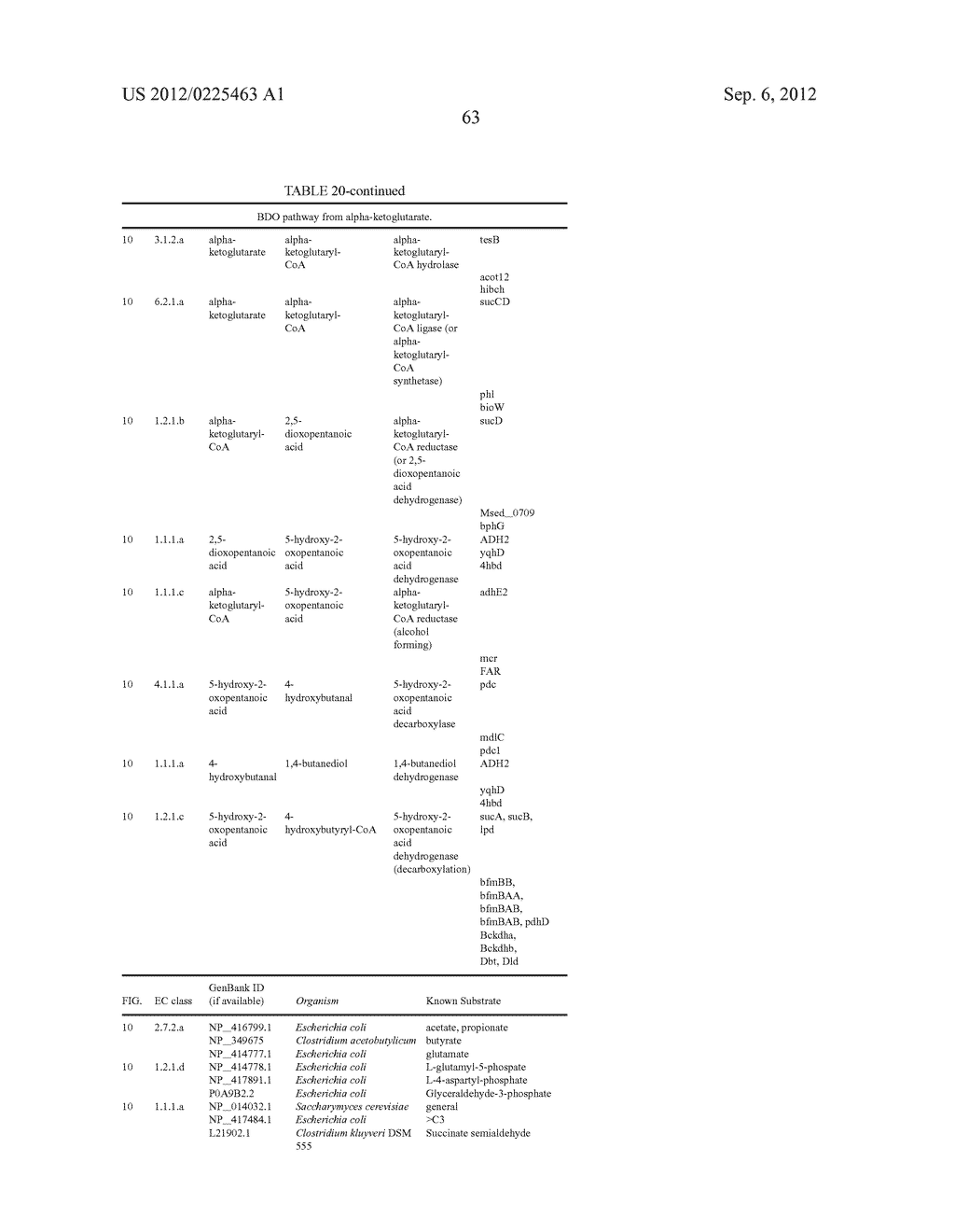 MICROORGANISMS FOR THE PRODUCTION OF 1,4-BUTANEDIOL AND RELATED METHODS - diagram, schematic, and image 125