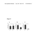 Specific Arabinose Transporter of the Plant Arabidopsis Thaliana for the     Construction of Pentose-Fermenting Yeasts diagram and image