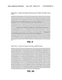 ACID FUNGAL PROTEASES diagram and image