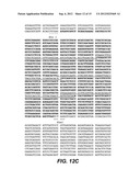 ACID FUNGAL PROTEASES diagram and image