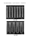 Devices And Method For Enrichment And Alteration Of Cells And Other     Particles diagram and image