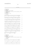 THERMOSTABLE VARIANTS OF FIBROBLAST GROWTH FACTORS diagram and image