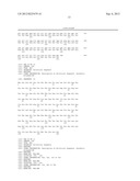 THERMOSTABLE VARIANTS OF FIBROBLAST GROWTH FACTORS diagram and image