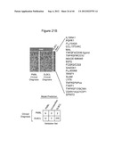 METHODS FOR IDENTIFYING, DIAGNOSING, AND PREDICTING SURVIVAL OF LYMPHOMAS diagram and image