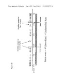 METHODS FOR IDENTIFYING, DIAGNOSING, AND PREDICTING SURVIVAL OF LYMPHOMAS diagram and image