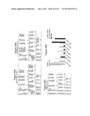 METHODS FOR IDENTIFYING, DIAGNOSING, AND PREDICTING SURVIVAL OF LYMPHOMAS diagram and image