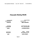 COMPOUNDS FOR TREATING PAPILLOMA VIRUS INFECTION diagram and image