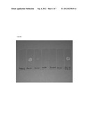 PROPYLENE GLYCOL-CONTAINING PEPTIDE FORMULATIONS WHICH ARE OPTIMAL FOR     PRODUCTION AND FOR USE IN INJECTION DEVICES diagram and image