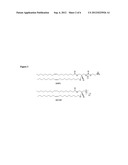 AMPHIPHILIC MACROMOLECULES FOR NUCLEIC ACID DELIVERY diagram and image