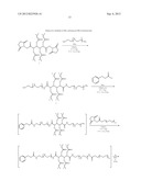 AMPHIPHILIC MACROMOLECULES FOR NUCLEIC ACID DELIVERY diagram and image