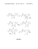 MOLECULARLY IMPRINTED POLYMERS, METHODS FOR THEIR PRODUCTION AND USES     THEREOF diagram and image