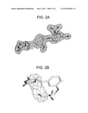 Co-Crystallization of ERR-alpha with a Ligand that Forms a Reversible     Covalent Bond diagram and image