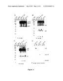 CYTOMEGALOVIRUS SURFACE PROTEIN COMPLEX FOR USE IN VACCINES AND AS A DRUG     TARGET diagram and image