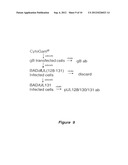 CYTOMEGALOVIRUS SURFACE PROTEIN COMPLEX FOR USE IN VACCINES AND AS A DRUG     TARGET diagram and image